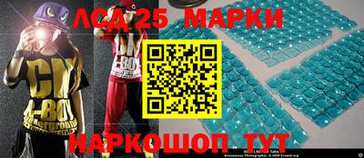 гашик Моздок
