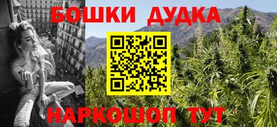 прущие грибы Нальчик