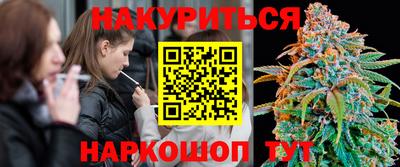 гашик Моздок