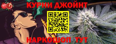 прущие грибы Нальчик