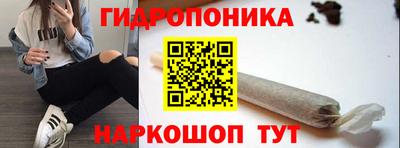 прущие грибы Нальчик