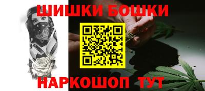 гашик Моздок