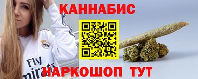 гашик Моздок