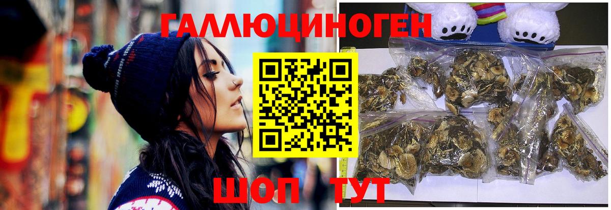 Галлюциногенные грибы прущие грибы Тобольск